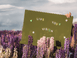 Growme Melbourne Dreamboard Forest