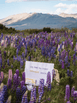 Growme Melbourne Dreamboard Lilac