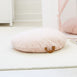 BAYLEY Teddy Boucle Cushion - Preorder Blush Pink