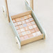 Bloom Baby Walker with 30pc Block Set - Preorder Sage