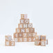 Bloom Baby Walker with 30pc Block Set - Preorder
