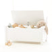 Clover 2 in 1 Toy Storage Bench