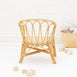 JUNIPER Rattan Armchair