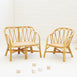 JUNIPER Rattan Armchair