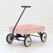 Kids Steel Toy Wagon Blush Pink