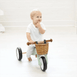 Mini Trike & Helmet Bundle Sage
