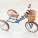 Steel 2 in 1 Trike with Carry Strap Bundle Steel Blue