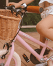 Steel Pedal Bike with Carry Strap Bundle Blush Pink