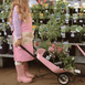 Wheelbarrow Garden Bundle Blush Pink