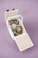 JaBaDaBaDo Tea set with Basket