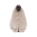 Jellycat Roarwell Sea Lion