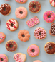 Juni Moon Donut