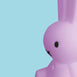Mr Maria Miffy Colourful Surprise Collection