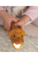 Rabbit & Friends Flashlight Lion - Leo