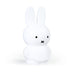Atelier Pierre MIFFY Money Box - 19 cm