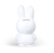 Atelier Pierre MIFFY Money Box - 19 cm