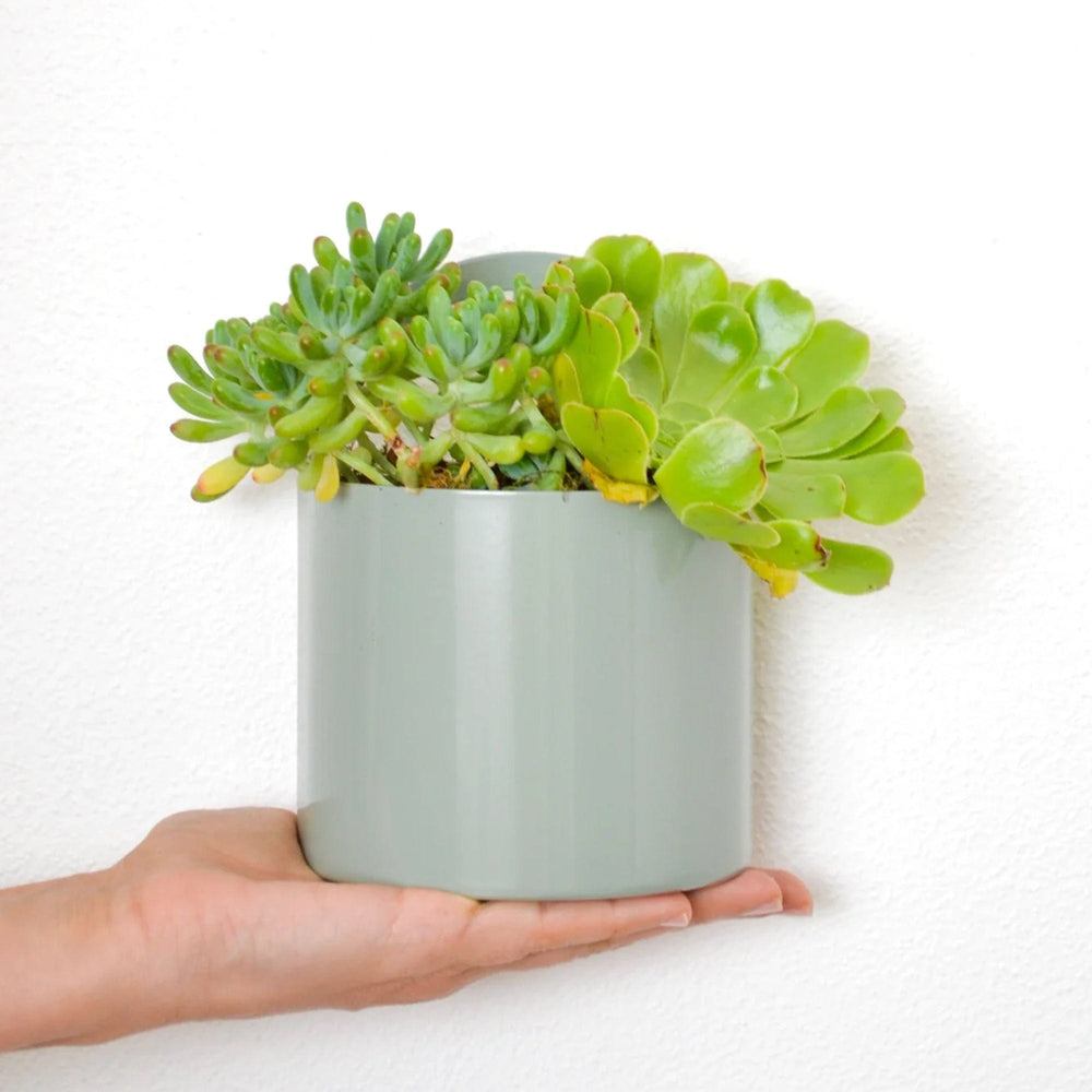 Growme Melbourne Archie Desk Caddy Sage