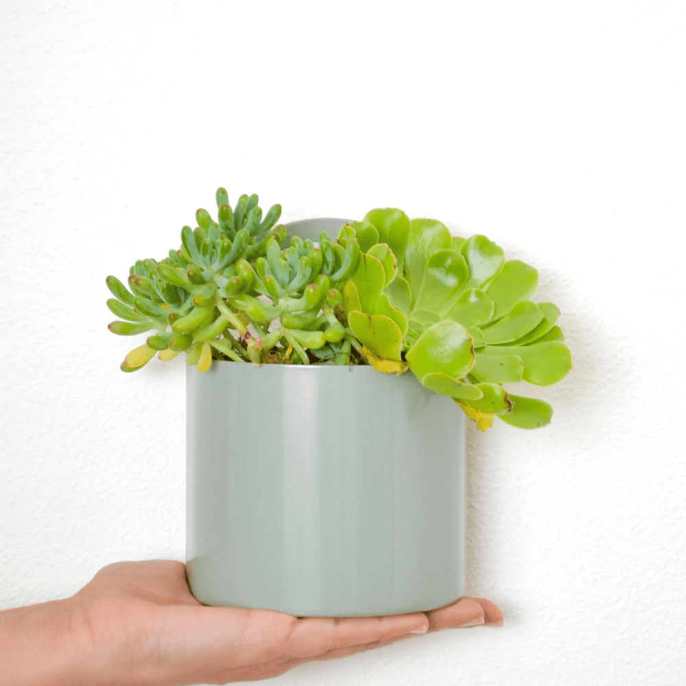 Growme Melbourne Archie Desk Caddy Sage