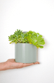 Growme Melbourne Archie Desk Caddy Sage