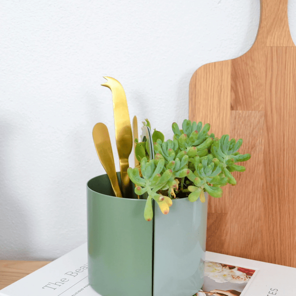 Growme Melbourne Archie Desk Caddy Sage