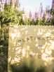 Growme Melbourne Dreamboard Butter