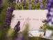 Growme Melbourne Dreamboard Blush Pink