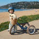 2 in 1 Steel Trike/Balance Bike (incl. wicker basket) Steel Blue
