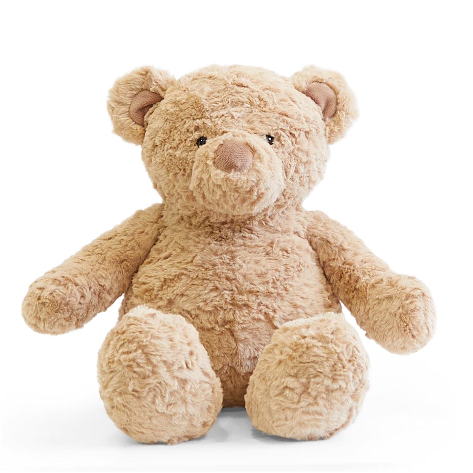 Biscuit the Bear with Sweater