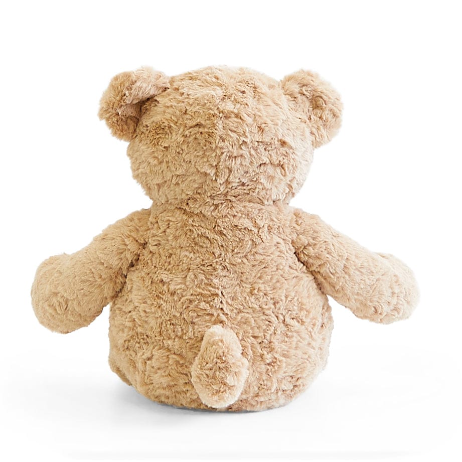 Biscuit the Bear with Sweater