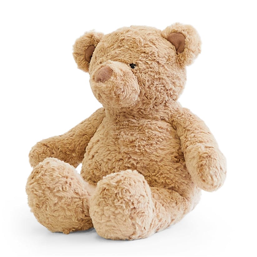 Biscuit the Bear with Sweater