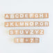 Bloom Baby Walker with 30pc Block Set - Preorder