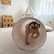 Circus Tent with Play Tunnel Bundle Nougat