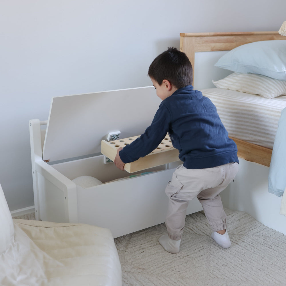 Clover 2 in 1 Toy Storage Bench