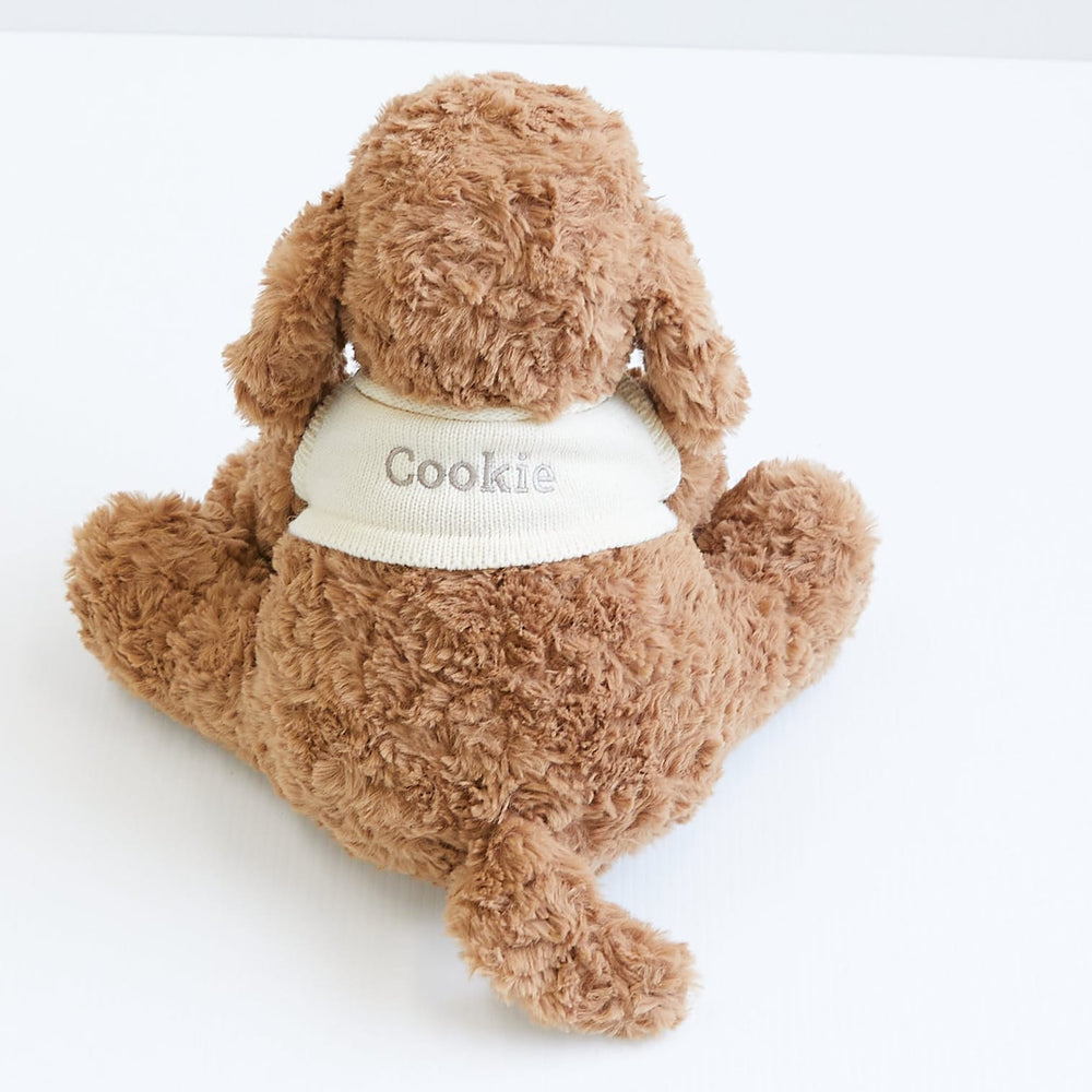 Cookie the Cavoodle