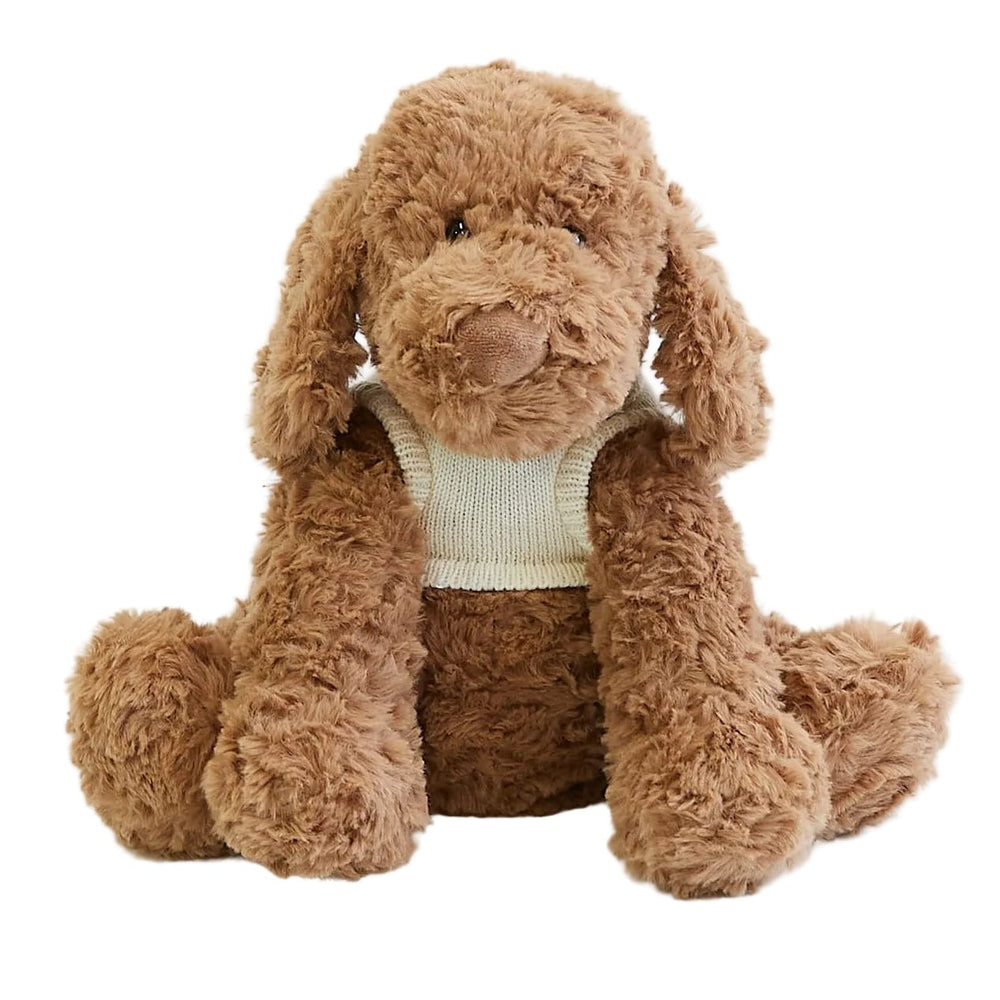 Cookie the Cavoodle