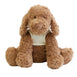 Cookie the Cavoodle