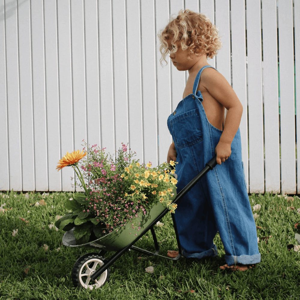 Wheelbarrow Gift Pack Olive