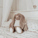 Fawn The Bunny with Ivory Sweater