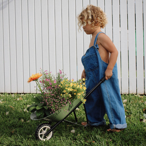 Kids Steel Toy Wheelbarrow Olive