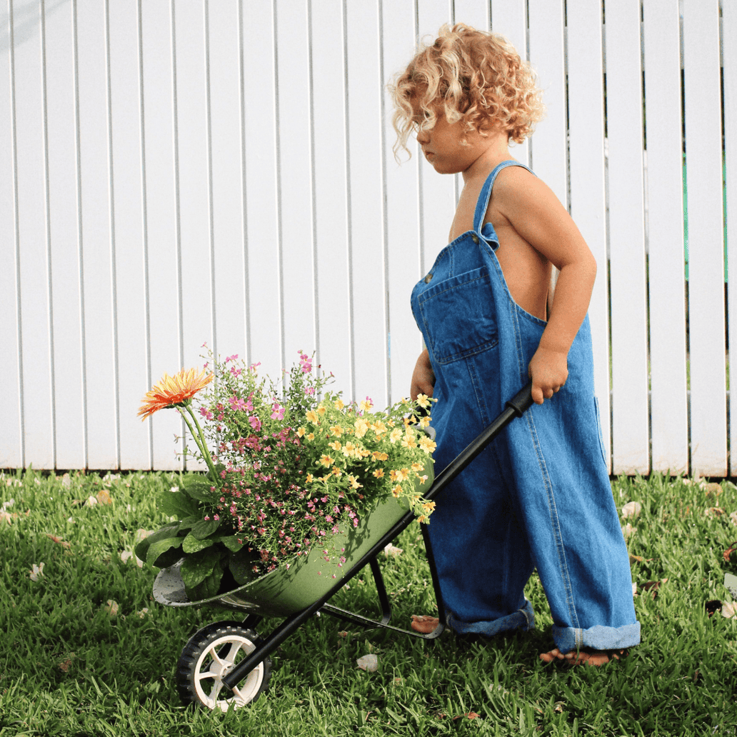 Kids Steel Toy Wheelbarrow Olive