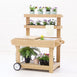 Little Gardener Potting Cart Preorder