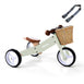 Mini Trike with Carry Strap Bundle Sage