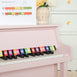Musical Toy Piano Soft Pink