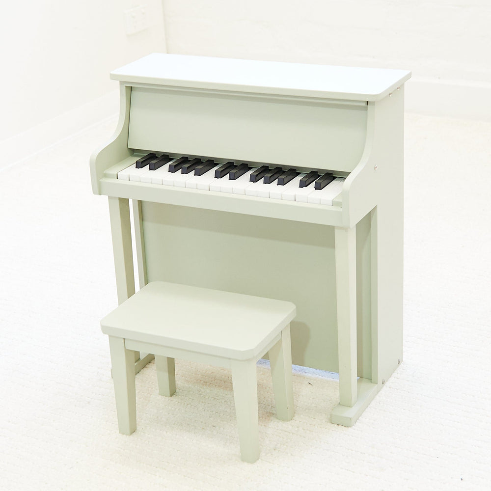 Musical Toy Piano Sage