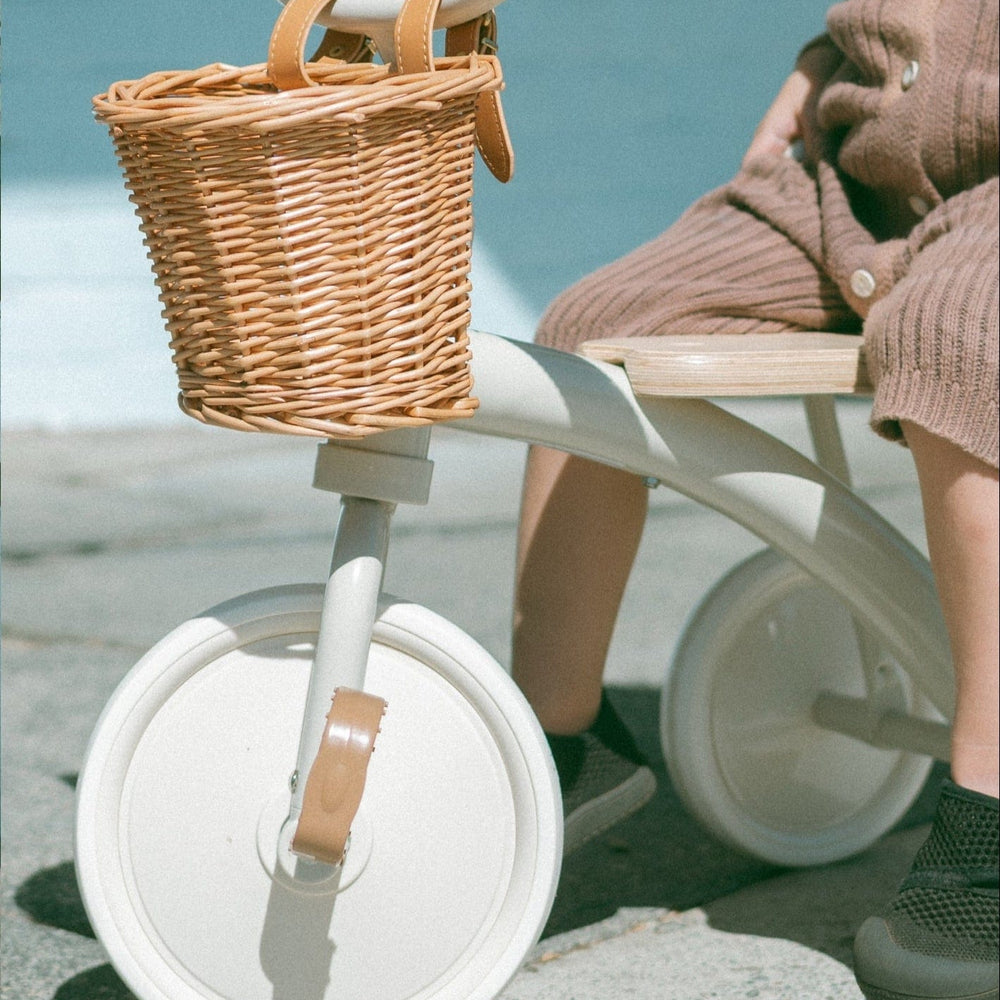 My First Pedal Trike with Parent Push Handle