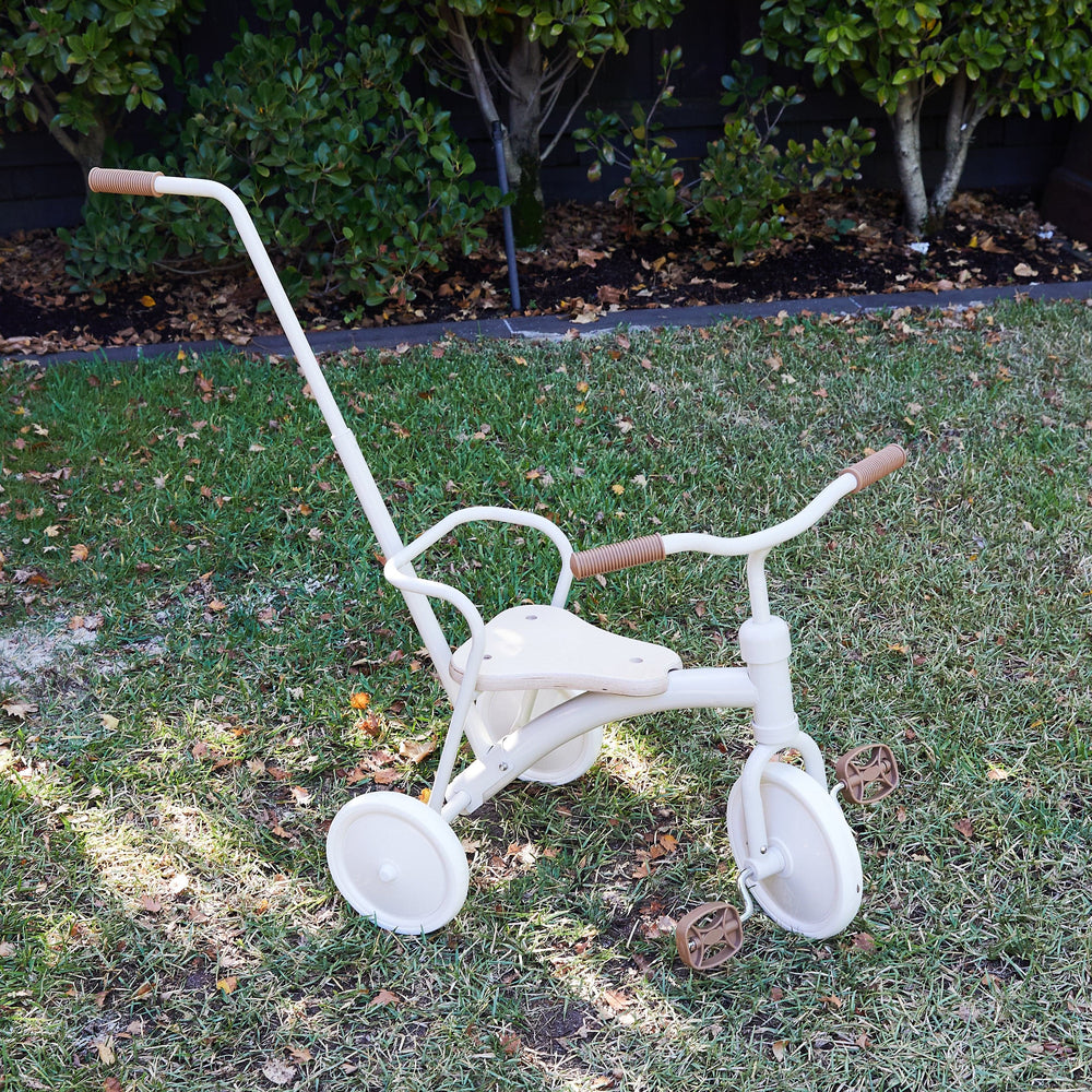 My First Pedal Trike with Push Handle
 without basket