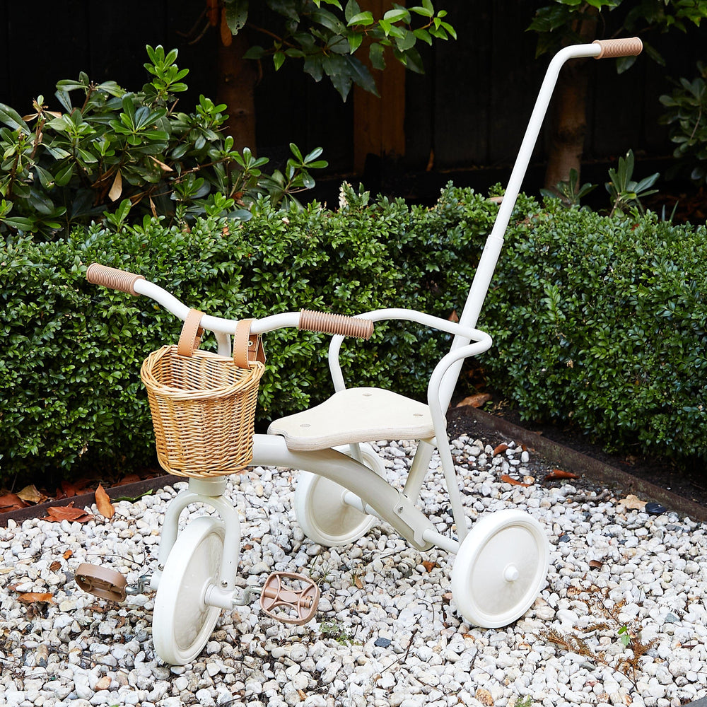 My First Pedal Trike with Push Handle
 With basket