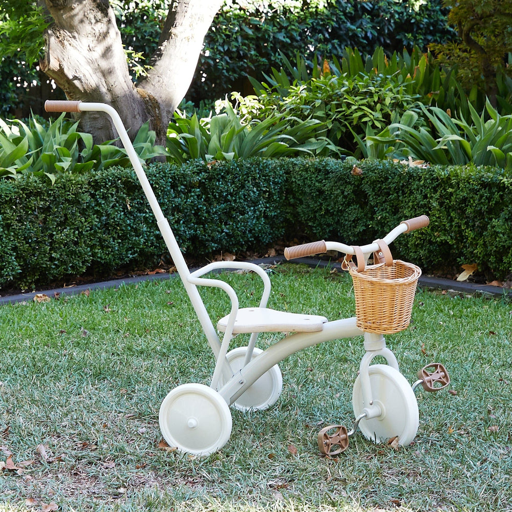 My First Pedal Trike with Push Handle
 With basket