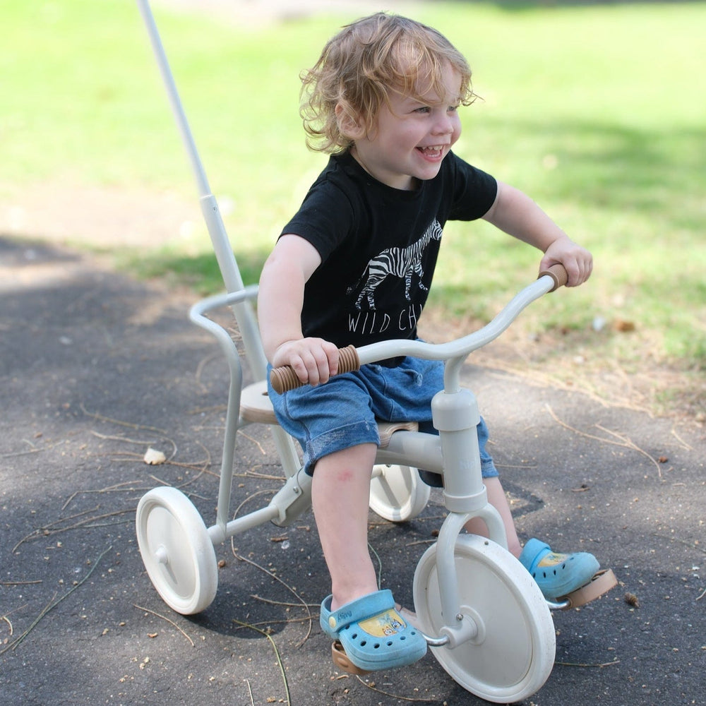 My First Pedal Trike with Push Handle
 without basket