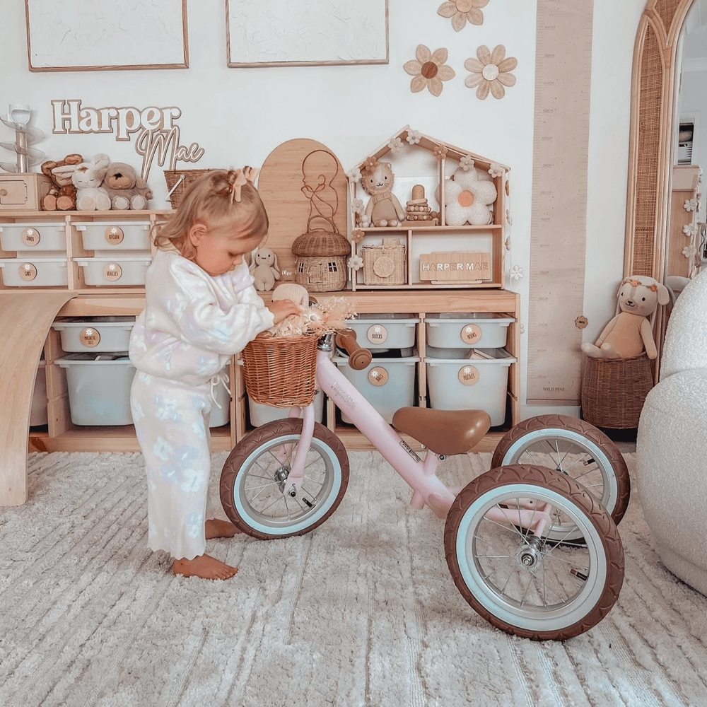 Steel 2 in 1 Trike with Carry Strap Bundle Blush Pink